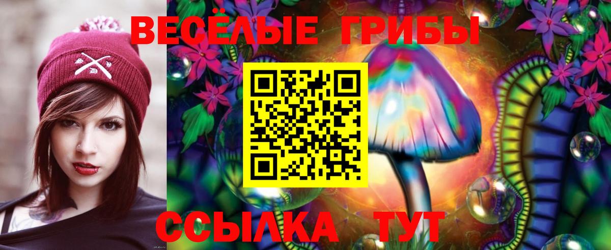 Галлюциногенные грибы прущие грибы  Вход с VPN  Нижний Тагил 